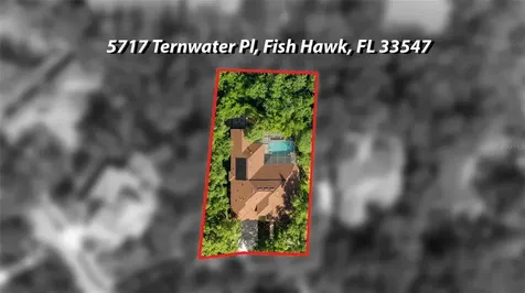 5717 Ternwater Place Lithia FL 33547