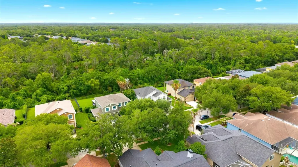 14843 Heronglen Drive Lithia FL 33547