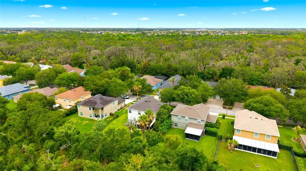 14843 Heronglen Drive Lithia FL 33547