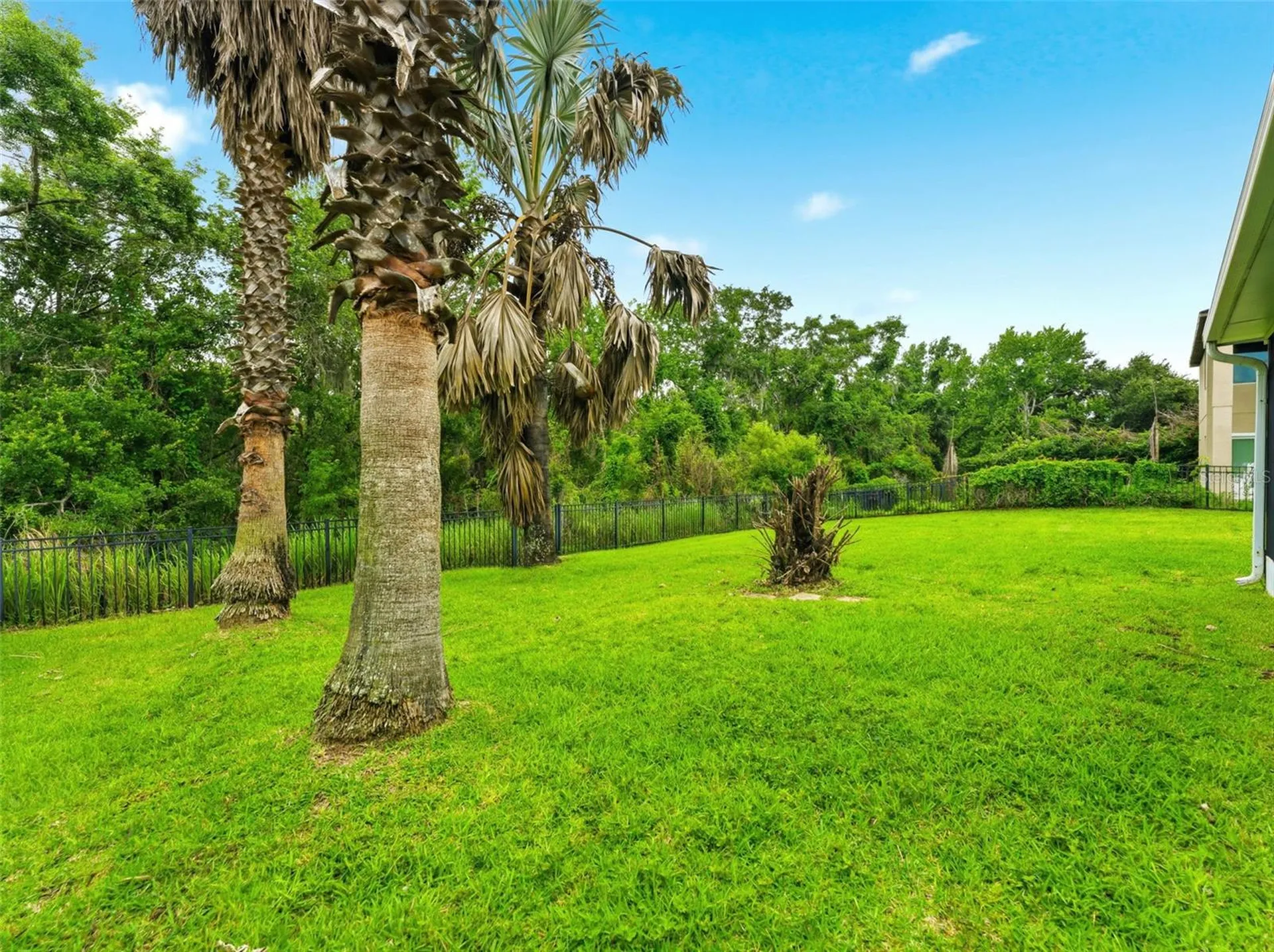 14843 Heronglen Drive Lithia FL 33547