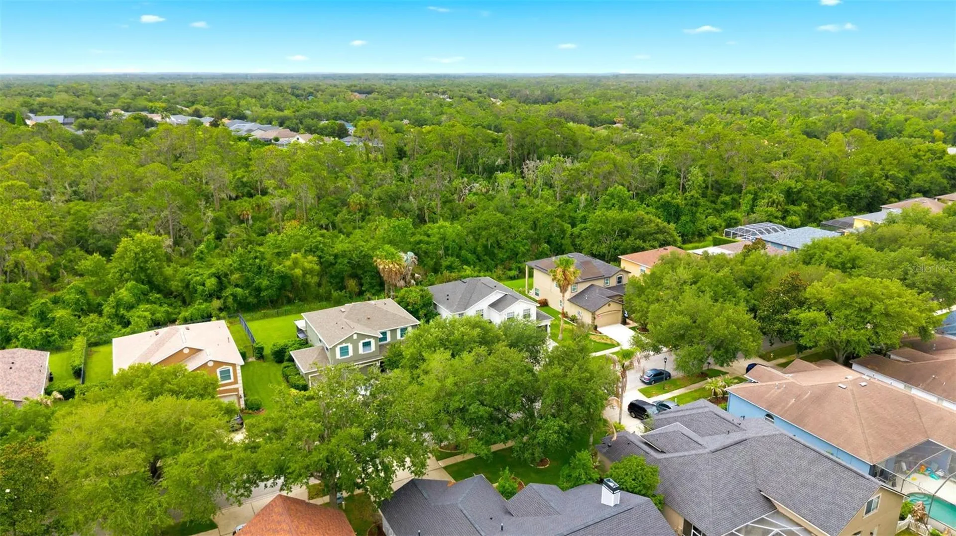 14843 Heronglen Drive Lithia FL 33547