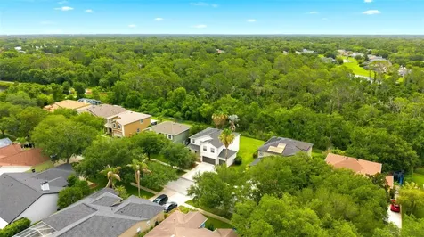 14843 Heronglen Drive Lithia FL 33547