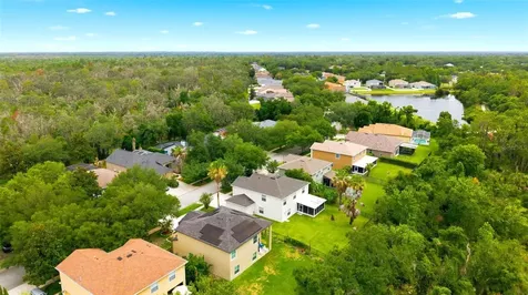 14843 Heronglen Drive Lithia FL 33547