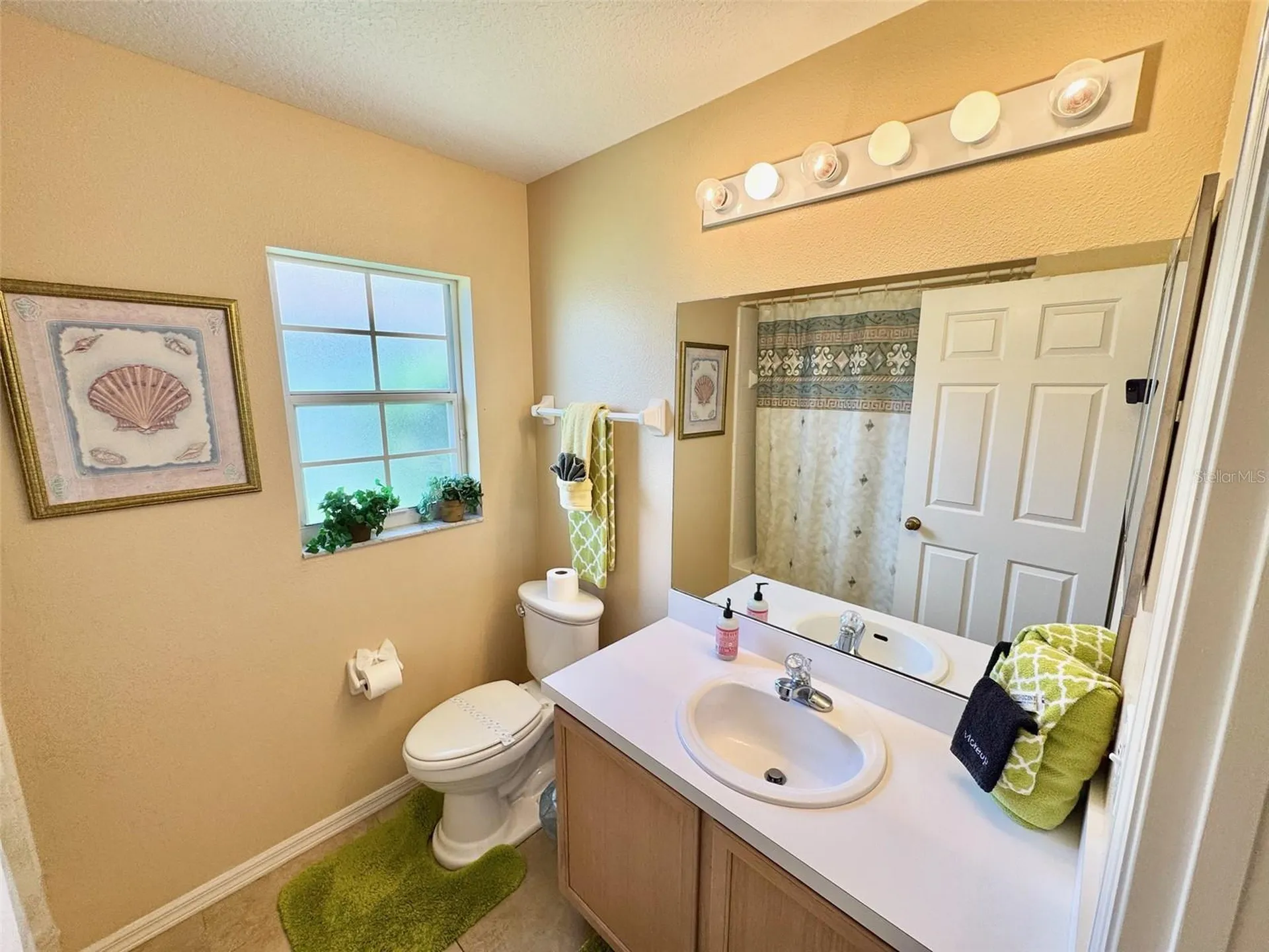 2629 Star Lake View Drive Kissimmee FL 34747