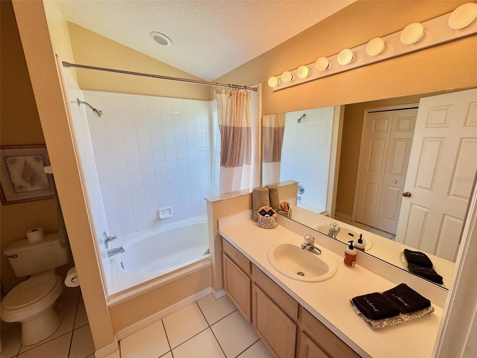 2629 Star Lake View Drive Kissimmee FL 34747
