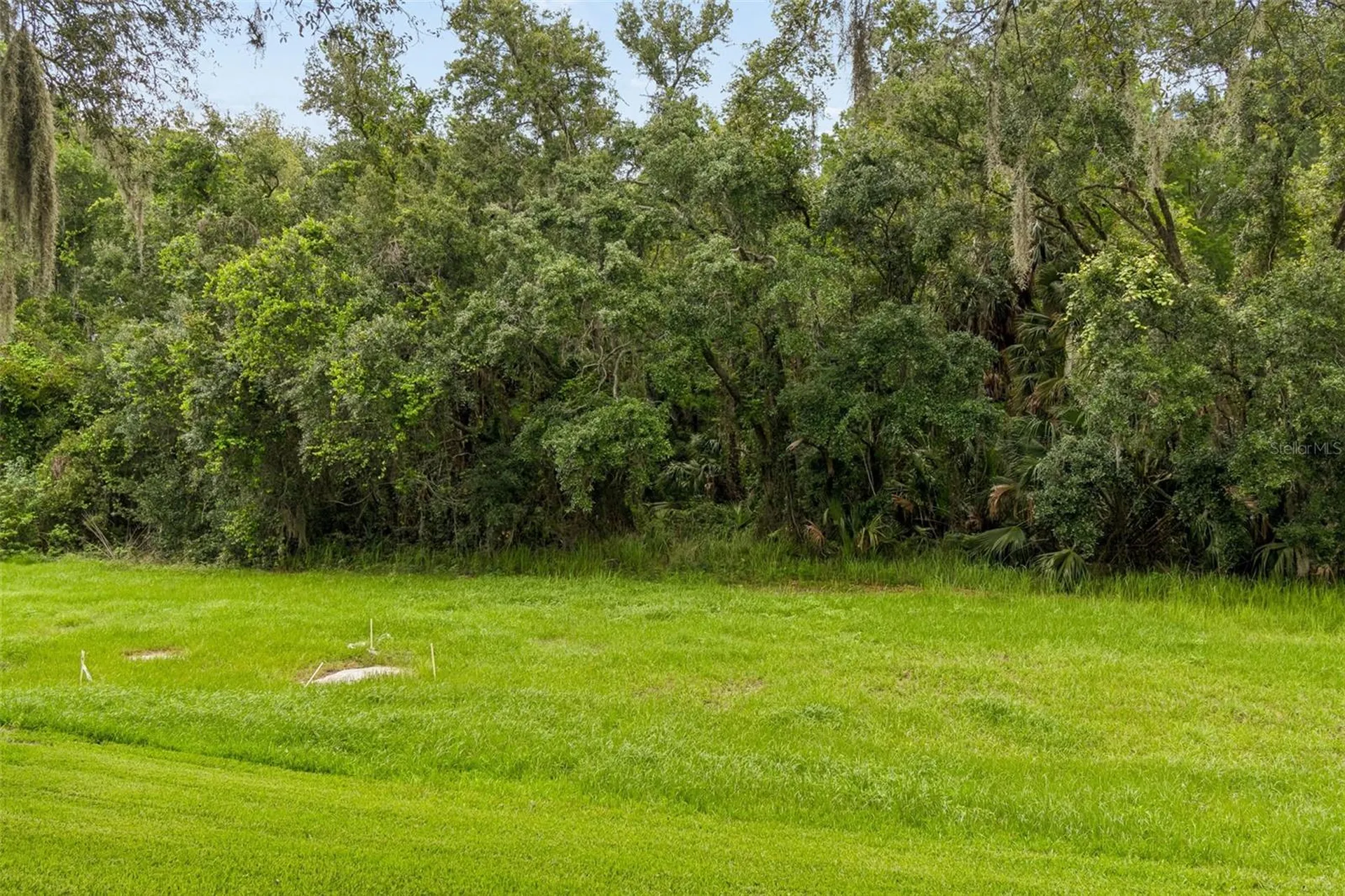 9311 Haas Drive Hudson FL 34669