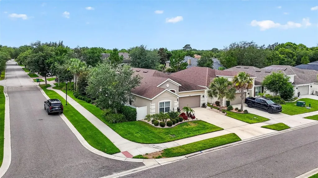 29894 Chapel Chase Drive Wesley Chapel FL 33545