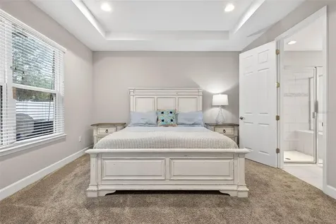 29894 Chapel Chase Drive Wesley Chapel FL 33545