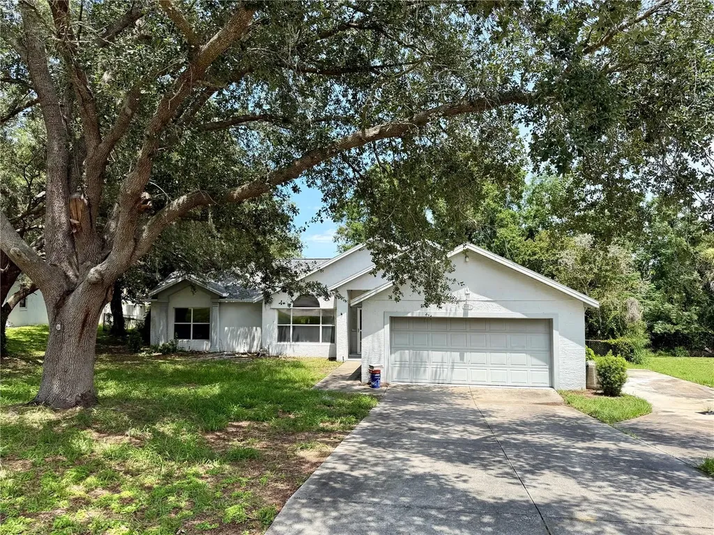 10258 Joanies Run Leesburg FL 34788