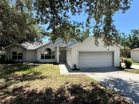 10258 Joanies Run Leesburg FL 34788