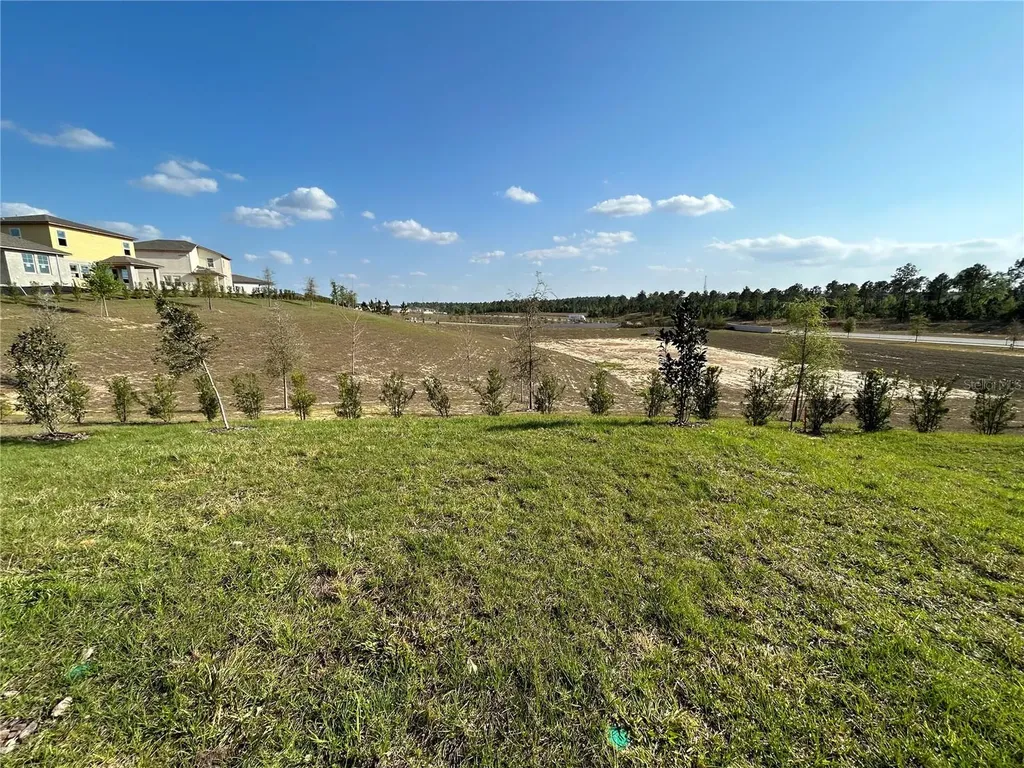 2249 Mystic Maze Lane Clermont FL 34715