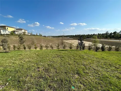 2249 Mystic Maze Lane Clermont FL 34715