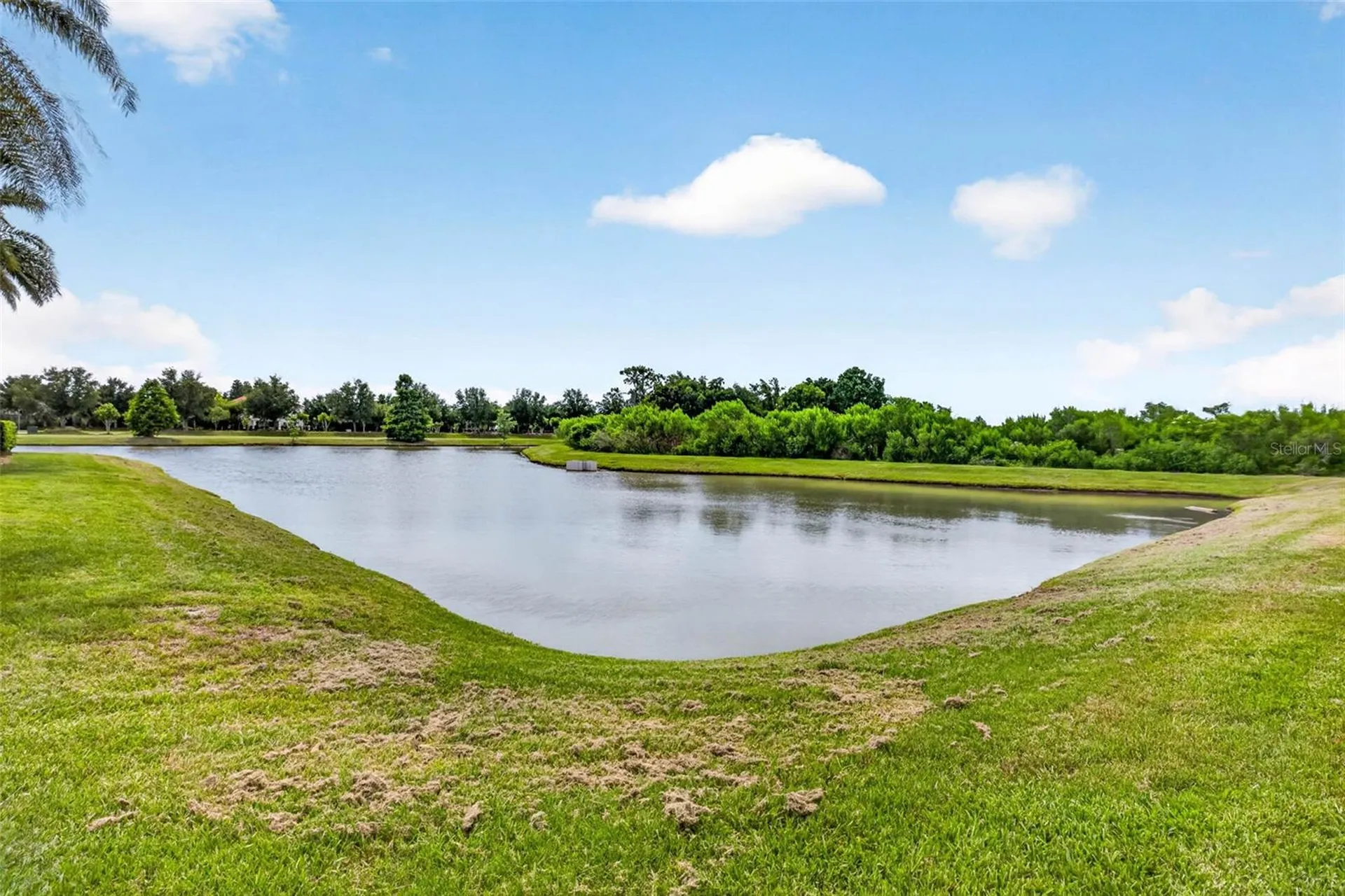 7109 Bay Laurel Wesley Chapel FL 33545