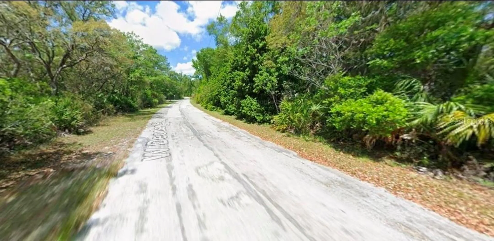 11924 W Deodar Street Crystal River FL 34428