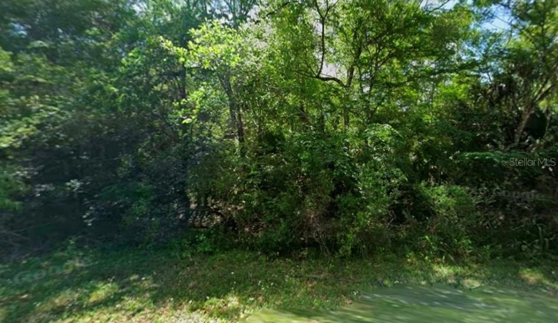 11924 W Deodar Street Crystal River FL 34428