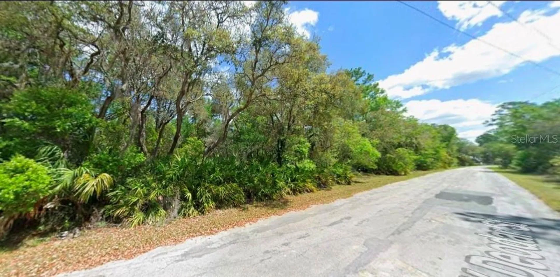 11924 W Deodar Street Crystal River FL 34428