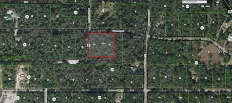 11924 W Deodar Street Crystal River FL 34428