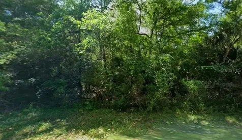 11924 W Deodar Street Crystal River FL 34428