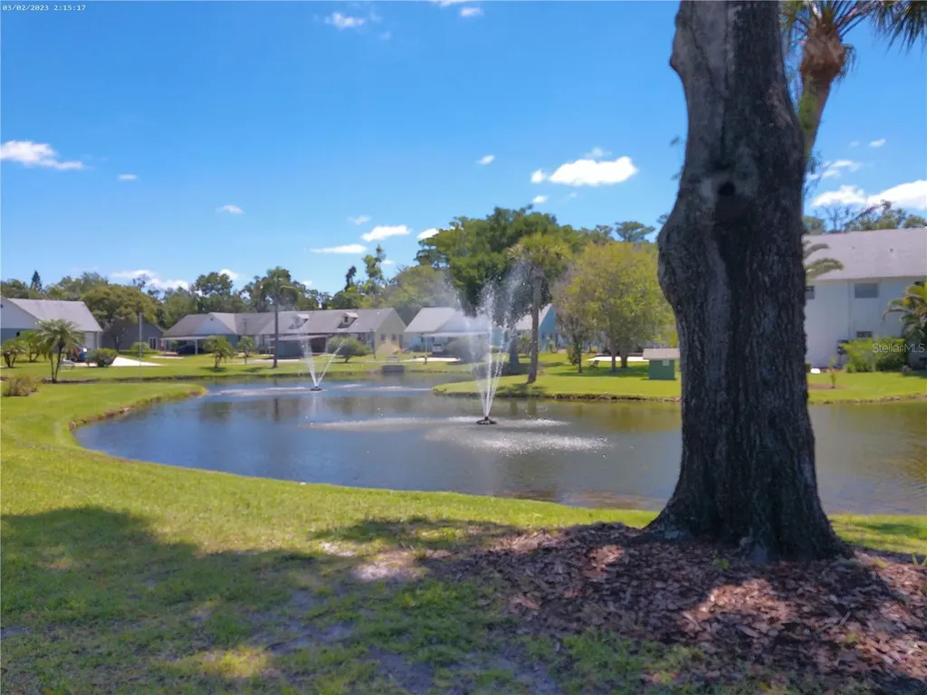 6118 Wilds Drive New Port Richey FL 34653