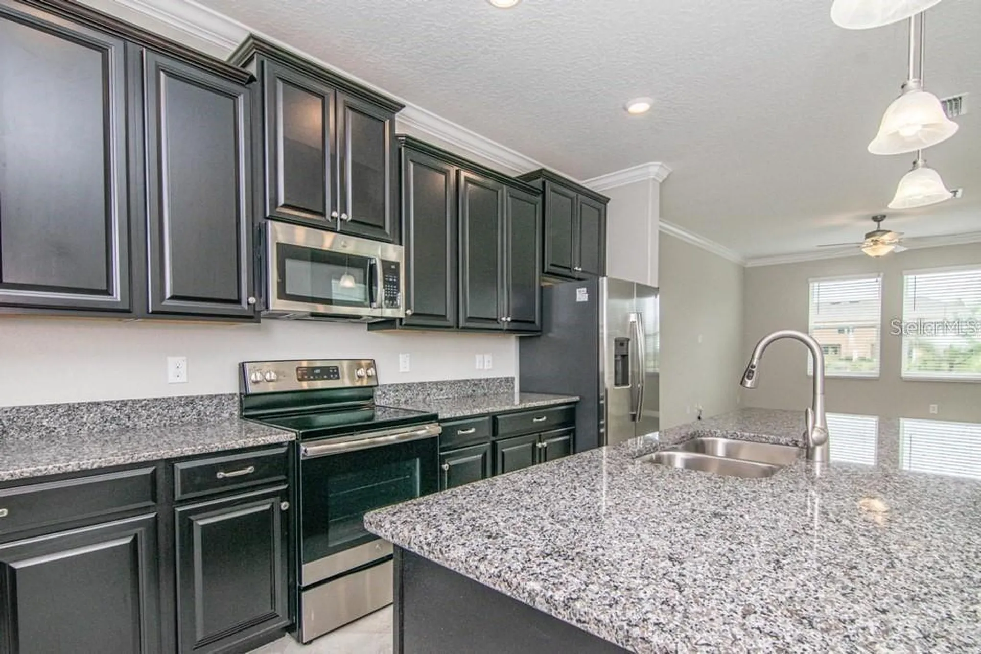 18628 Noble Caspian Drive Lutz FL 33558