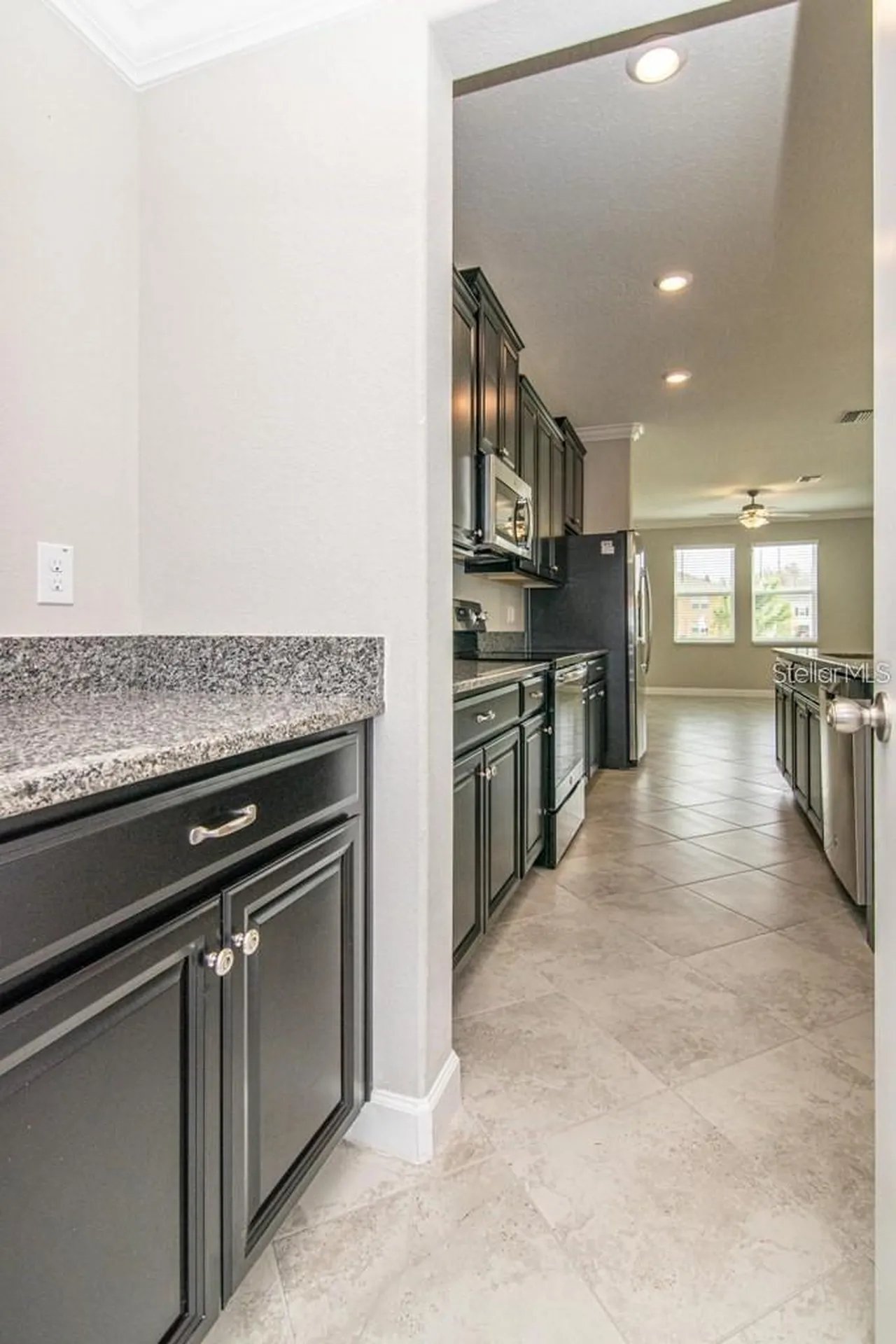 18628 Noble Caspian Drive Lutz FL 33558
