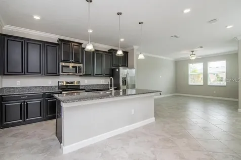 18628 Noble Caspian Drive Lutz FL 33558