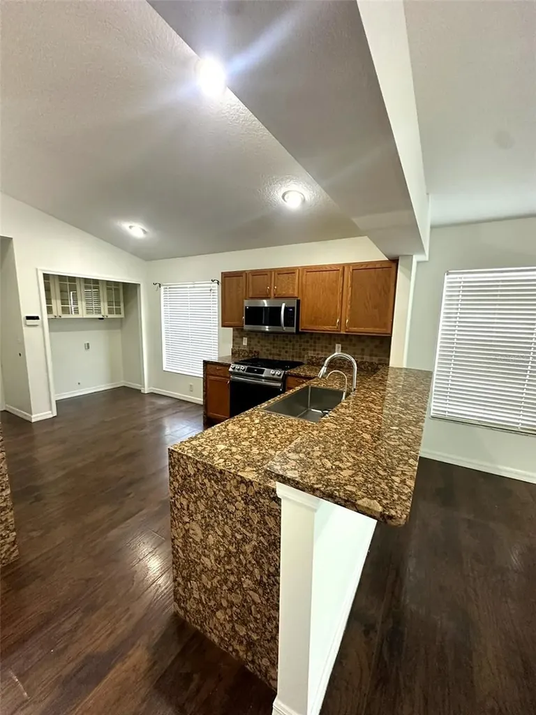 19310 Weedon Court Land O Lakes FL 34638