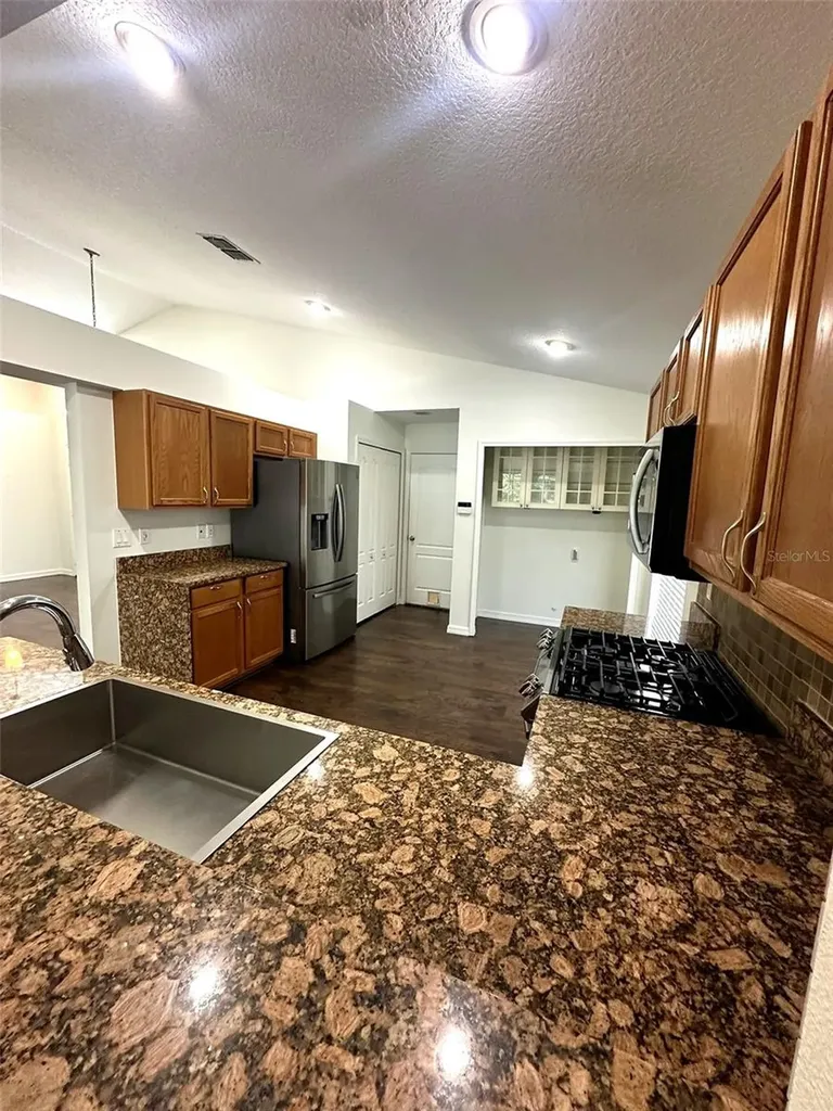 19310 Weedon Court Land O Lakes FL 34638