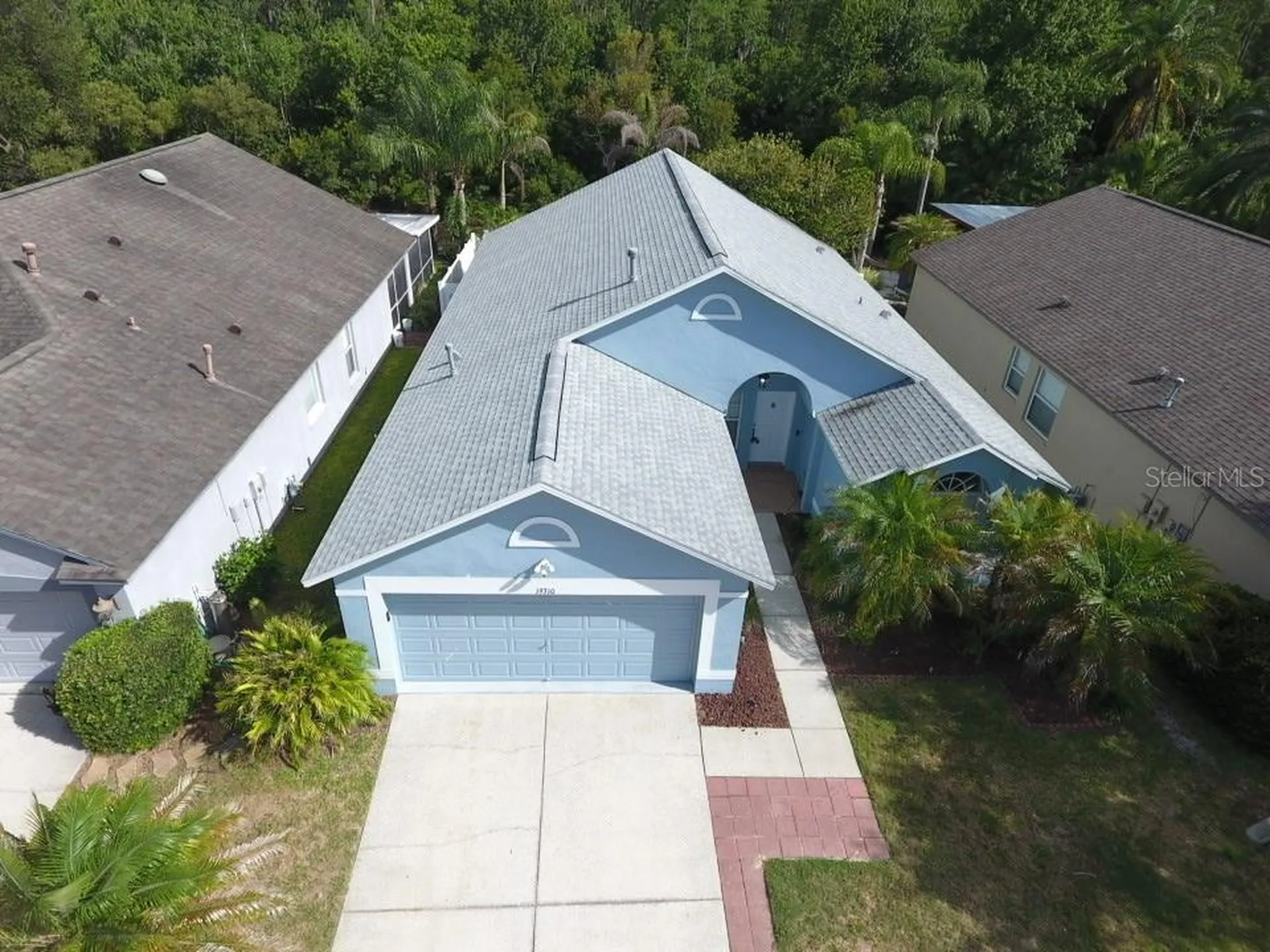 19310 Weedon Court Land O Lakes FL 34638