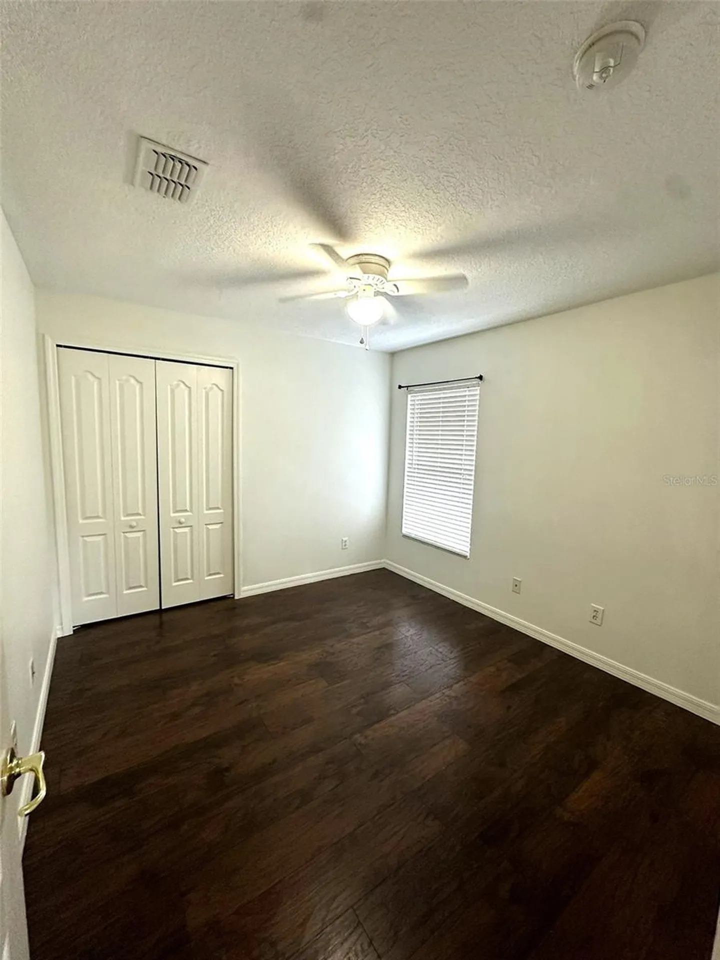 19310 Weedon Court Land O Lakes FL 34638