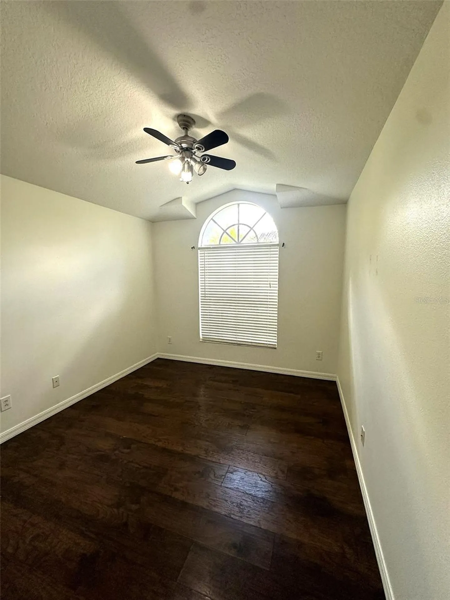 19310 Weedon Court Land O Lakes FL 34638