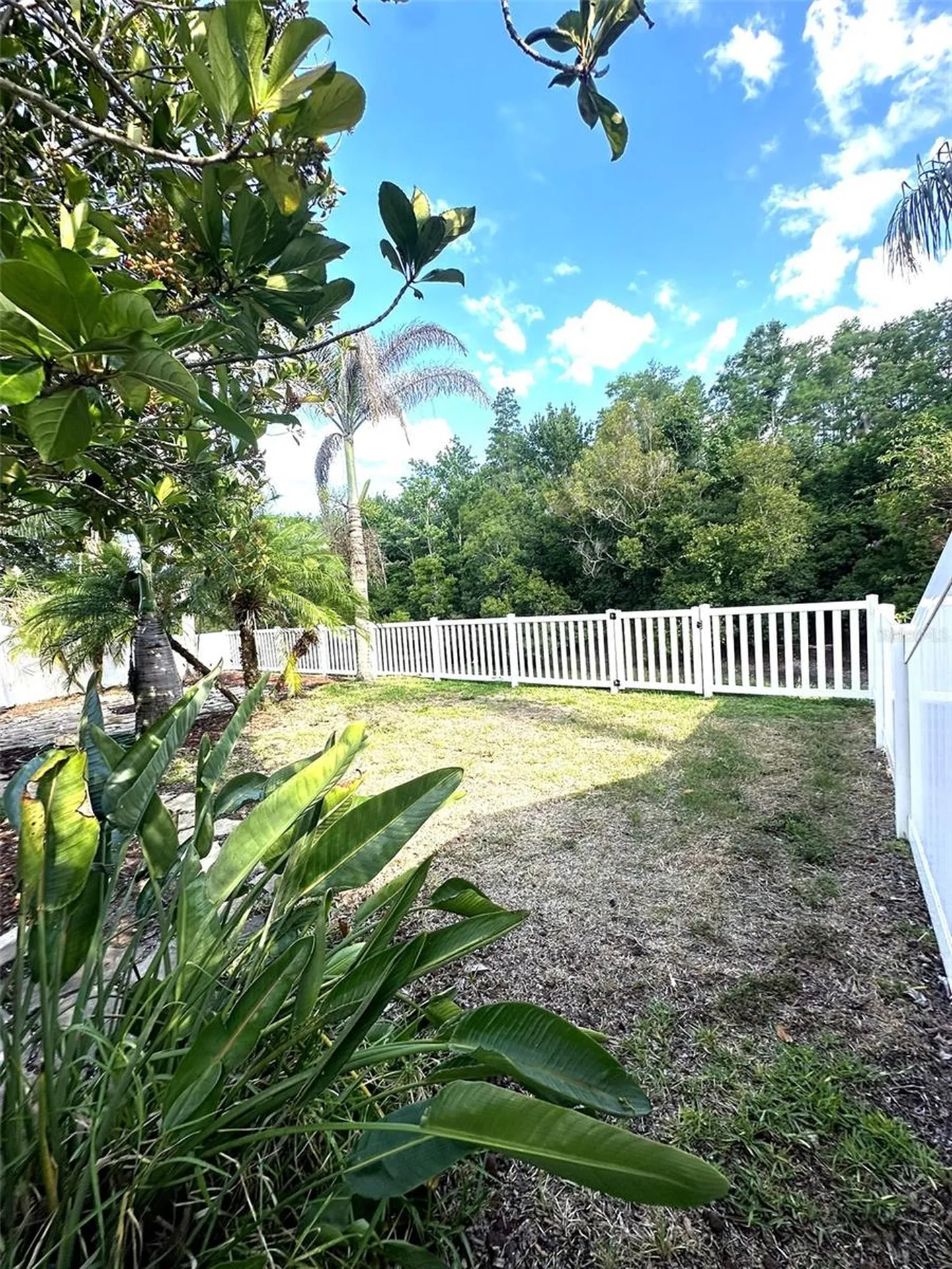 19310 Weedon Court Land O Lakes FL 34638