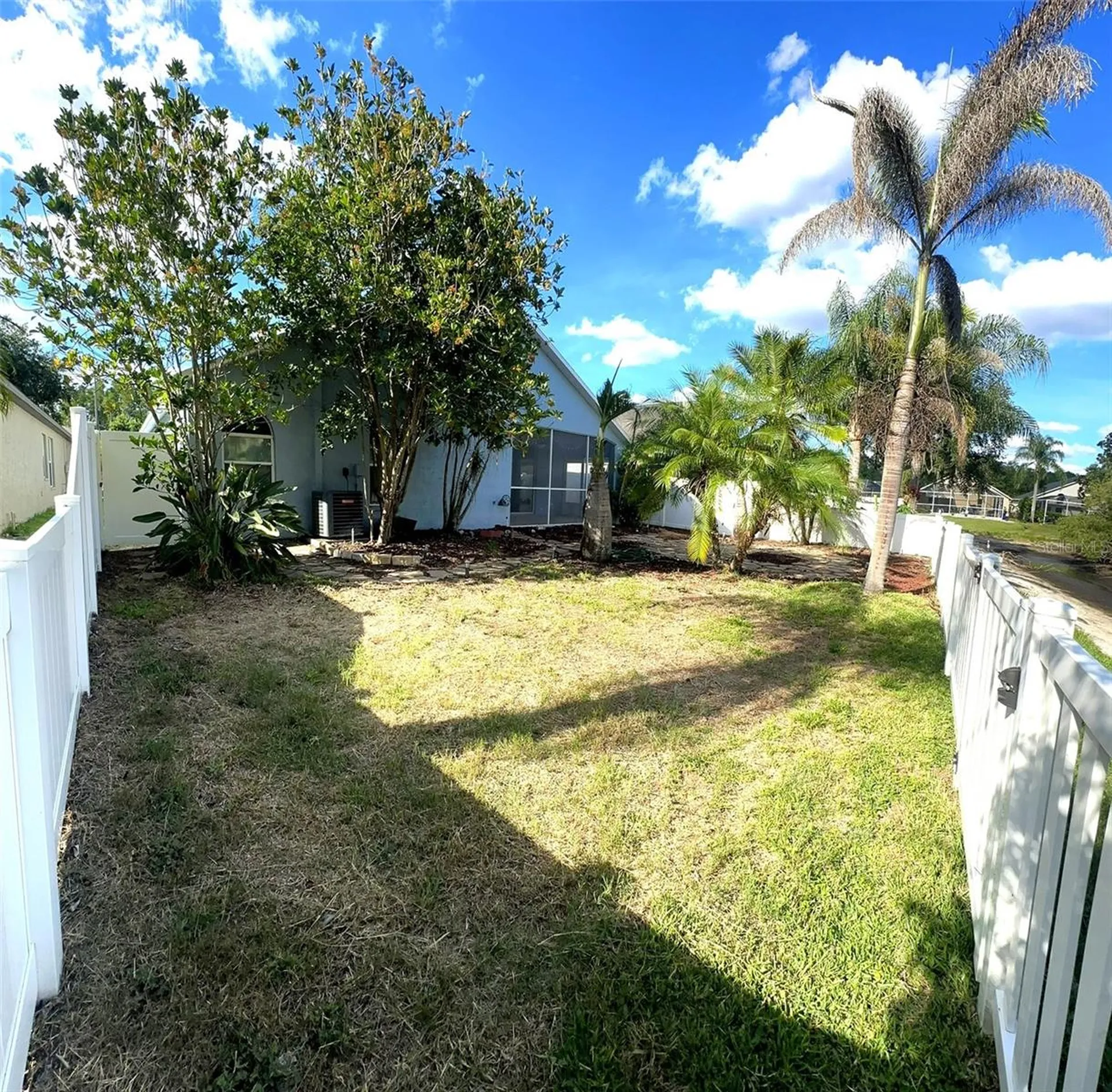 19310 Weedon Court Land O Lakes FL 34638