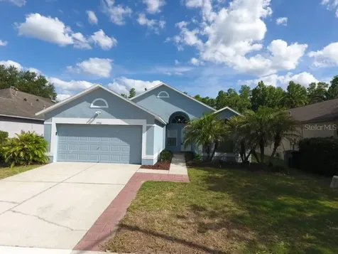 19310 Weedon Court Land O Lakes FL 34638