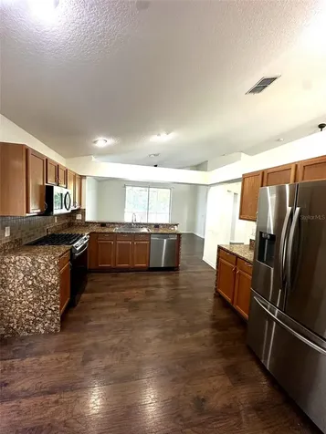 19310 Weedon Court Land O Lakes FL 34638