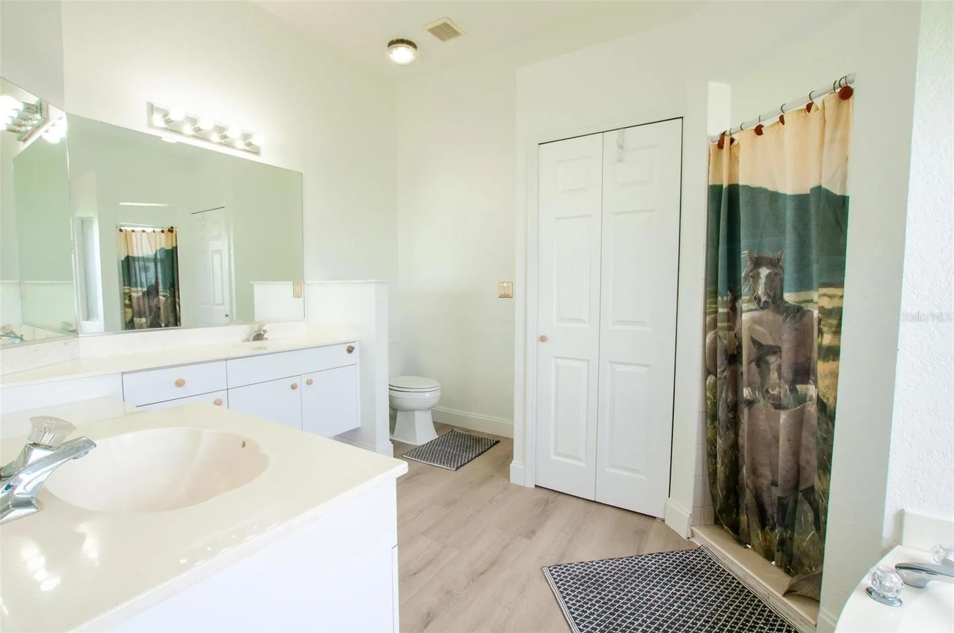 3442 NE Appaloosa Street Arcadia FL 34266