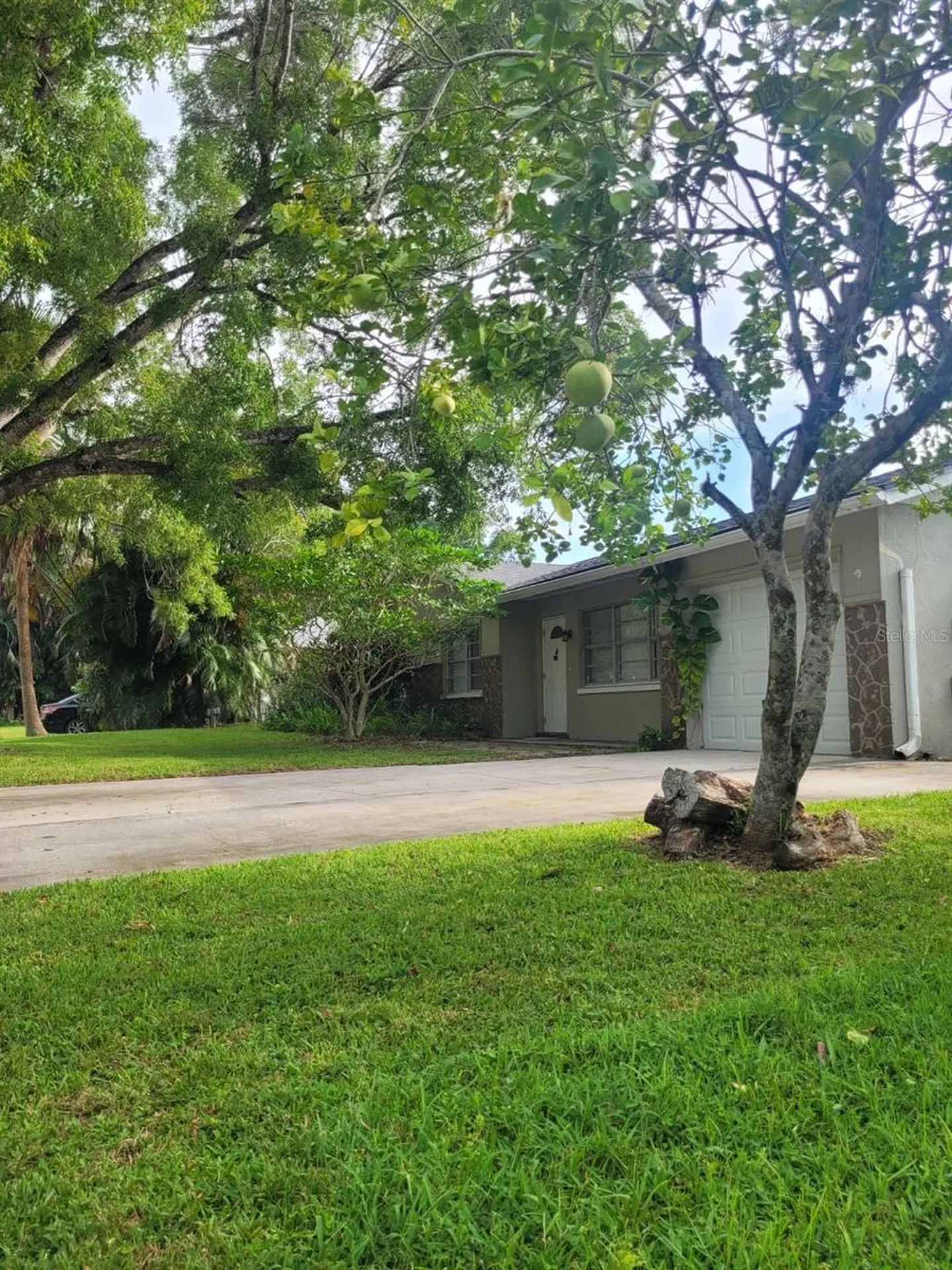 1591 Sunkist Way Fort Myers FL 33905