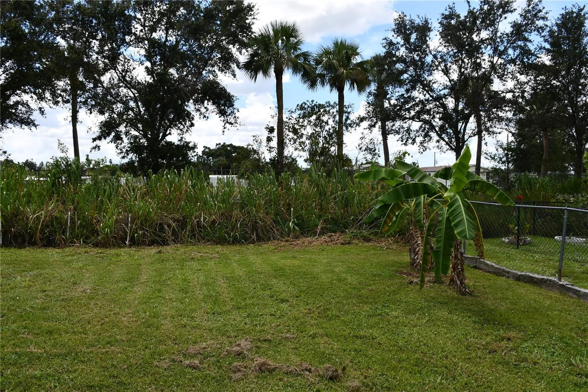 1591 Sunkist Way Fort Myers FL 33905