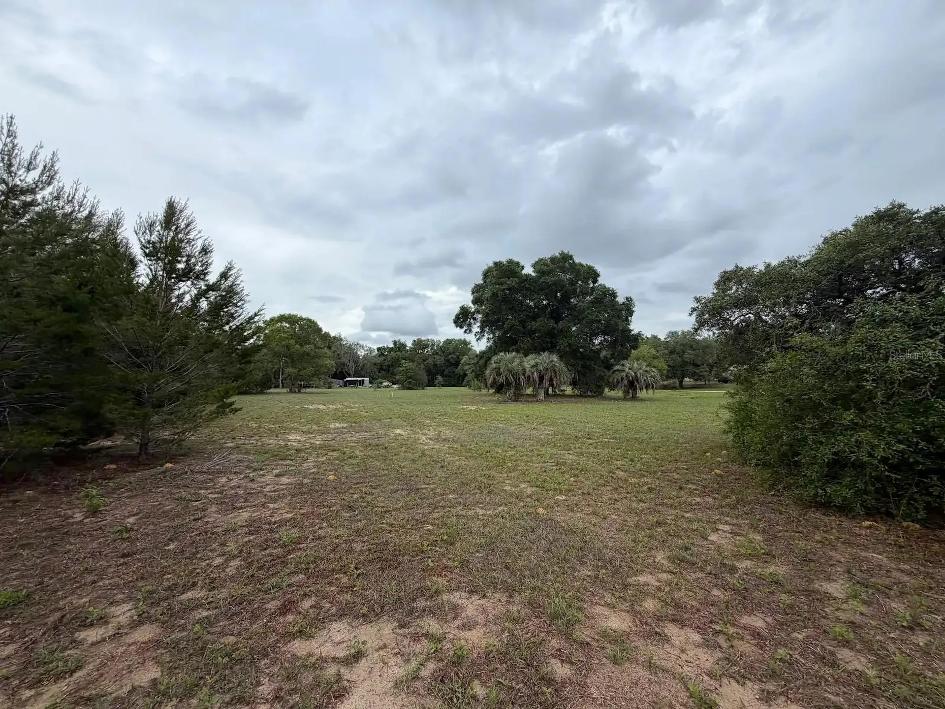 Tbd NE 137th Terrace Williston FL 32696