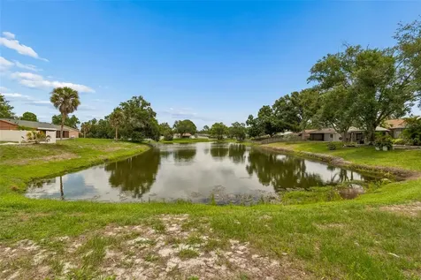 11318 Blackbark Drive Riverview FL 33579
