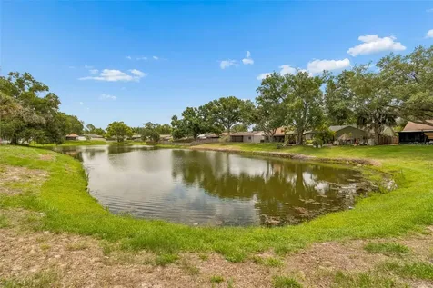 11318 Blackbark Drive Riverview FL 33579