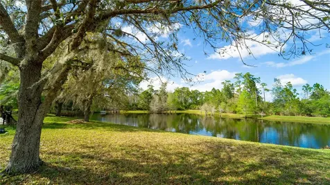 2264 Hillshire Drive Orlando FL 32828