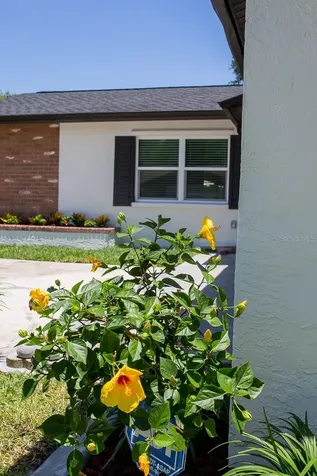 1851 Oak Street Clearwater FL 33760