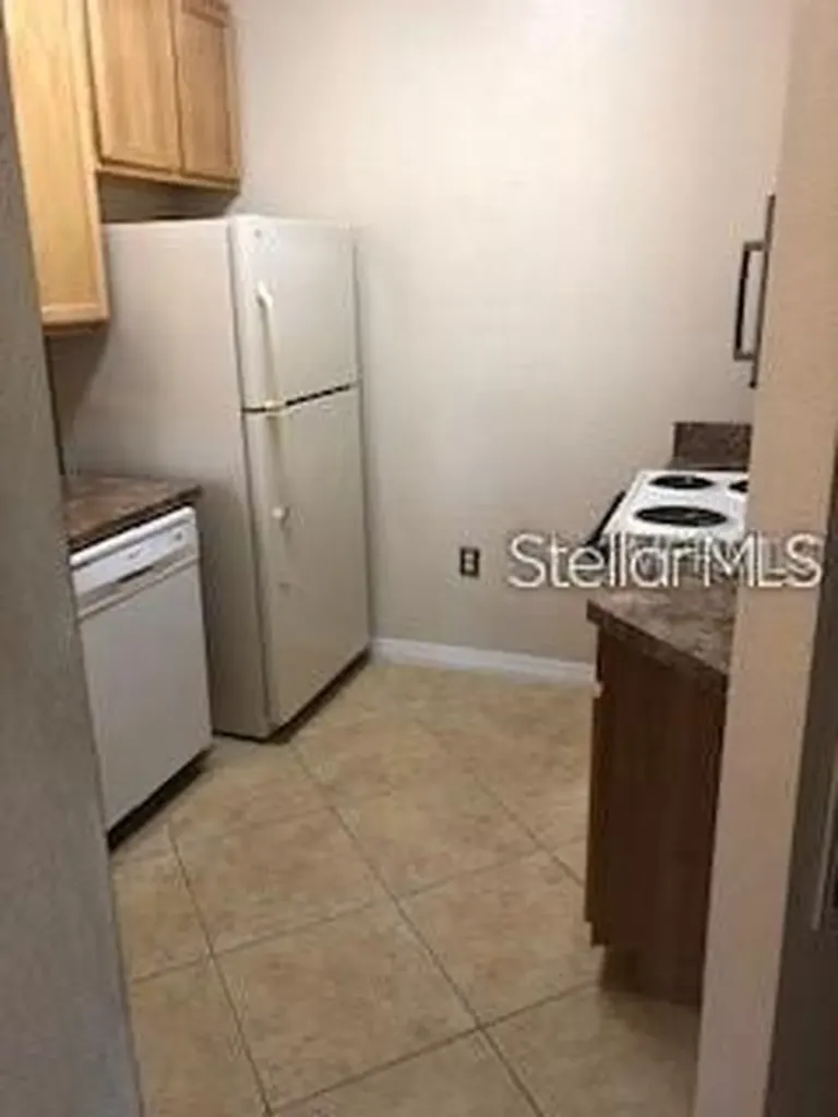 10019 Courtney Palms Boulevard Tampa FL 33619