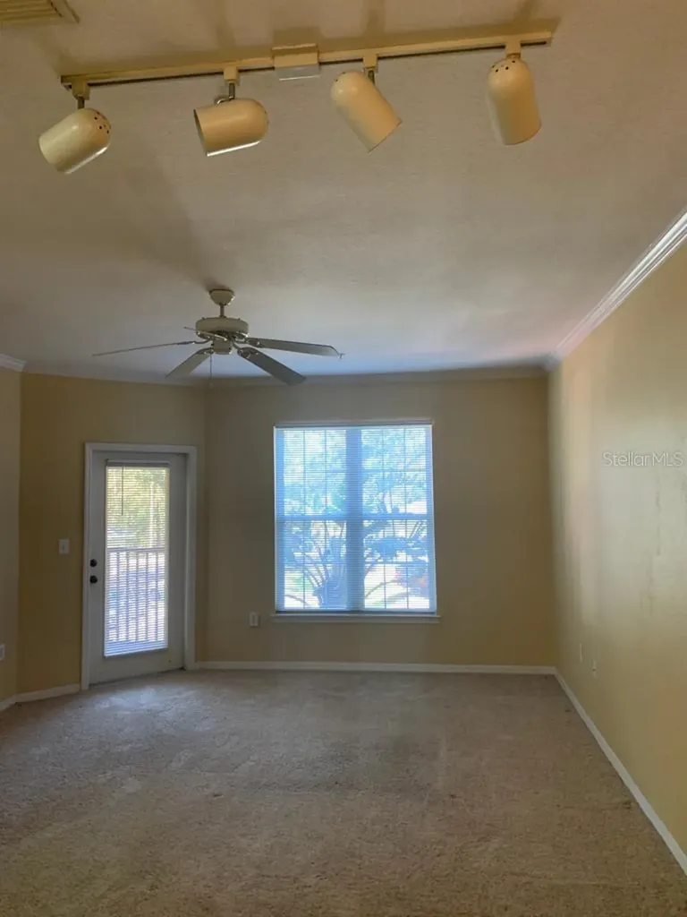10019 Courtney Palms Boulevard Tampa FL 33619