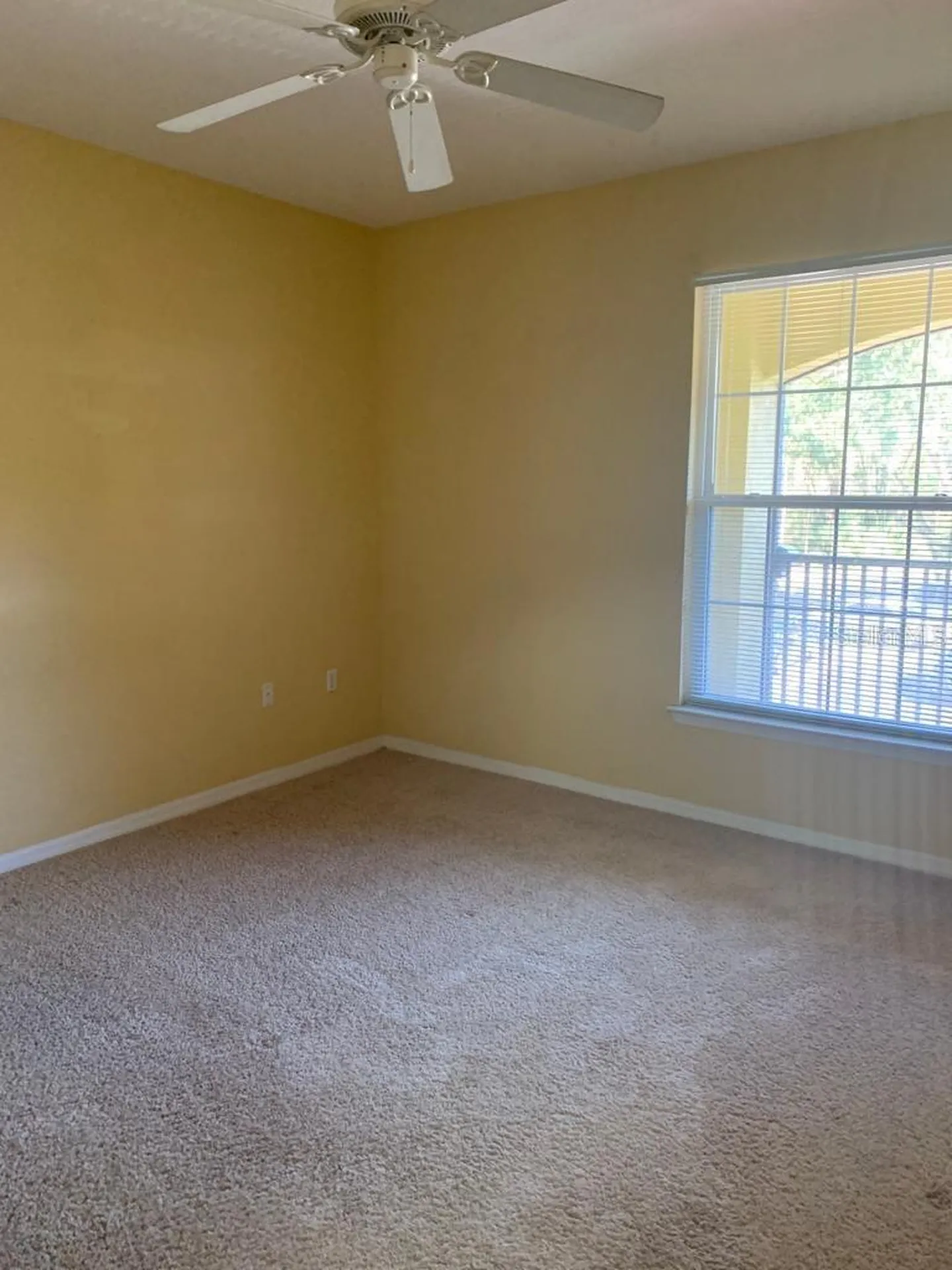 10019 Courtney Palms Boulevard Tampa FL 33619