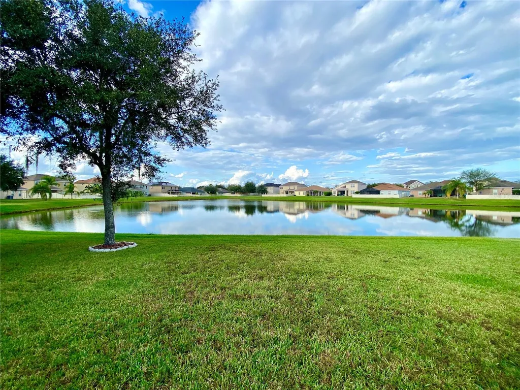10812 Ancient Futures Drive Tampa FL 33647