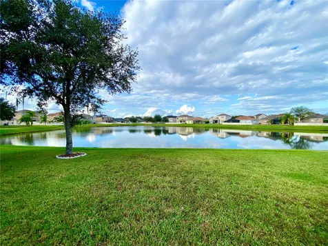 10812 Ancient Futures Drive Tampa FL 33647