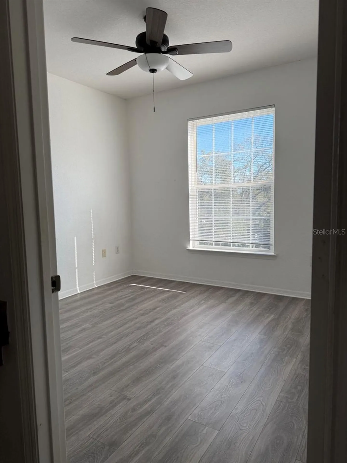 10205 Courtney Palms Boulevard Tampa FL 33619
