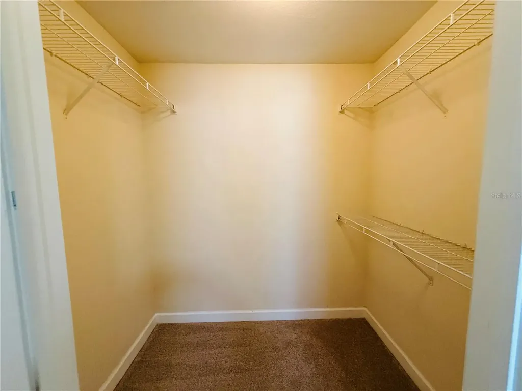 18557 Bridle Club Drive Tampa FL 33647